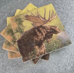 Thirstystone Absorbent Decorative Coaster Set 4"x4" Bull Moose